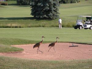 4.11.12.Separately Together.1