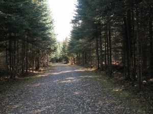 3.UP.10.09.R. DSCN0058